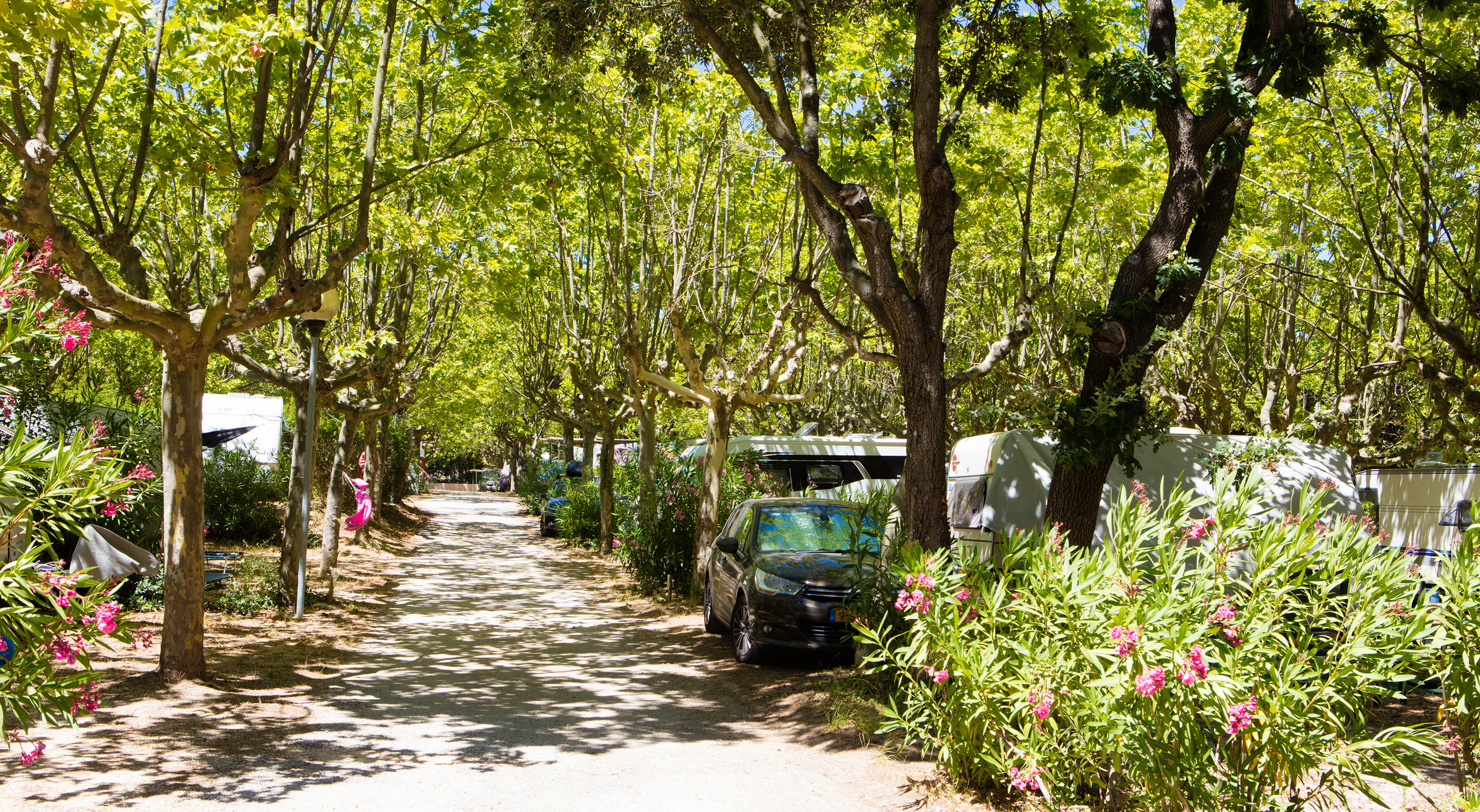 Camp du Domaine – Bormes les Mimosas – Var – emplacements tente caravane