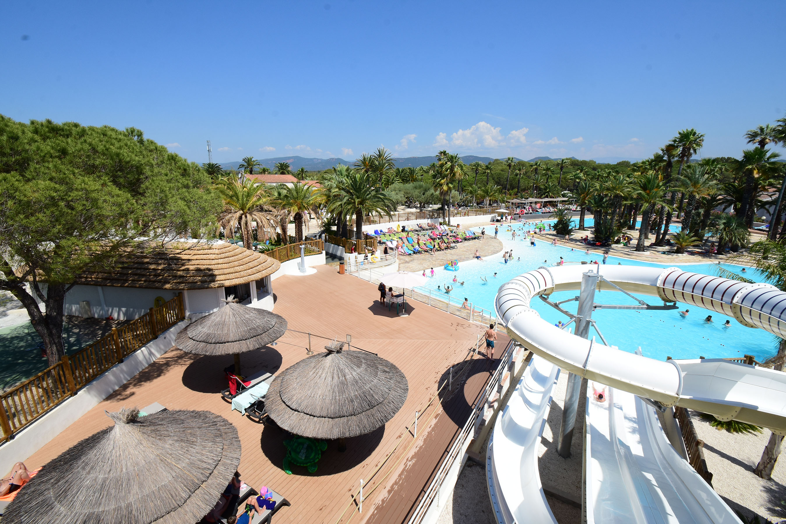 Camping La Baume La Palmeraie – piscine palmeraie